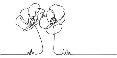 Poppy flowers in a continuous line art style A doodle border with two blooming flowers and grass vector