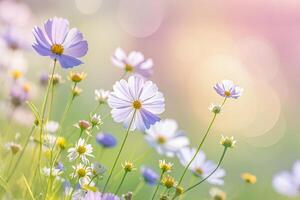Delicate Pastel Flowers In A Summer Meadow photo