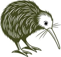 Kiwi Bird Illustration vector