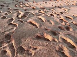 leaf on the beach, Close-up of footprints on a sandy beach, illuminated by warm sunlight. The textured surface of the sand creates depth, evoking a sense of travel, solitude, coastal exploration photo