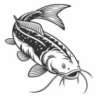 catfish fish illustration. vector