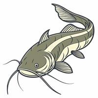 catfish fish illustration vector