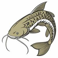 a catfish with a long tail and a long body vector