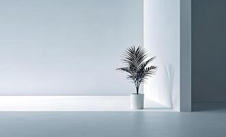 A plant in a white vase in an empty room photo