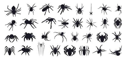 Set of spider silhouette isolated on a white background vector