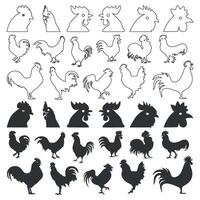 Set of chicken or rooster silhouette and line art icons design illustration. vector