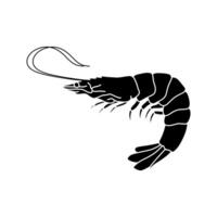 Shrimp isolated on white background. illustration. vector