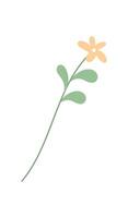 A simple flat flower design with a vibrant appearance. A flat plant design illustrates the beauty of nature. This graphic showcases a beautiful bloom, elegant in its simplicity, ideal for various vector