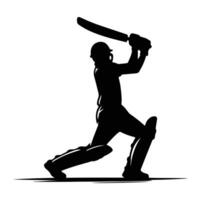 The Essence of Cricket Player in Motion vector