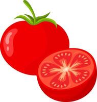Fresh mature whole and half tomato vector