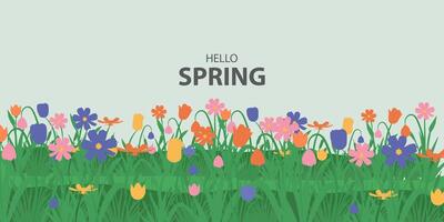 spring background with flowers and grass vector