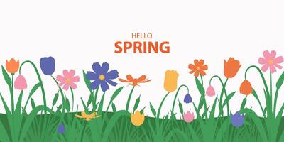 spring or summer flowers background with text hello spring vector