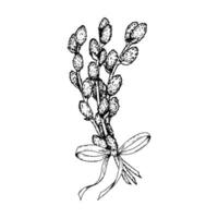Hand drawn black and white illustration of a bunch of willow branches tied with a ribbon. Perfect for Easter, spring greeting cards, seasonal decor, nature themes and botanical prints. vector