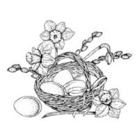 Hand drawn illustration of an Easter basket with eggs, blooming narcissus flowers and willow branches. Monochrome ink sketch in engraving style on black background. vector