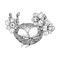 illustration of an Easter nest with eggs, daffodils, willow branches and a bow. Hand drawn in monochrome ink line art. Perfect for spring, Easter and 8 March holiday design projects. vector