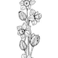 Seamless floral border with hand drawn spring flowers including daffodils and tulips. Black and white botanical illustration for Easter, packaging, greeting cards, borders and textile patterns. vector