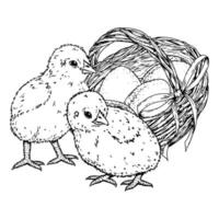 Hand drawn black and white illustration of two chicks and a basket with eggs tied with a ribbon. Suitable for Easter projects, spring greeting cards, packaging, and holiday-themed creative design vector