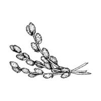 Easter 2025Hand drawn black and white illustration of willow branches tied together. Ideal for Easter, spring compositions, botanical themes, greeting cards, Orthodox traditions and seasonal graphics vector