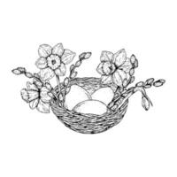 illustration of an Easter nest with eggs, daffodils, and willow branches. Monochrome hand drawn ink sketch in line art style. Perfect for Easter, 8 March, and spring greeting cards. vector