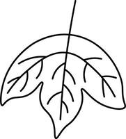 Minimalist Leaf Simple vector