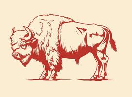 Hand drawn sketch animal Buffalo American Bison. black and white vintage illustration. Isolated object on white background vector