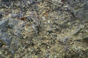 From above abstract textured surface of overgrown rocks on coastline covered photo