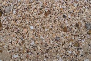 Sand, rock and shells on the beach background. Texture ground, nature background. photo