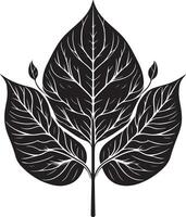 A leaf art illustration with background vector
