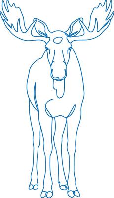 Minimalist front-view line art illustration of a moose with large antlers