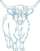 Modern minimalist Highland cow line drawing, elegant single-line sketch of a Scottish cattle vector