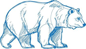 Hand-drawn sketch of a majestic grizzly bear walking in profile, vector