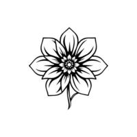 Textile Motif Design vector
