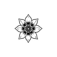 Textile Graphic Illustration vector