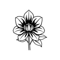 Design Textile Element vector