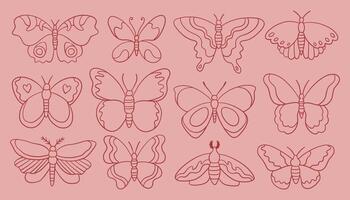 Whimsy butterfly set. Collection of various butterfly and moth designs on a pink background. Outline in red color, different styles and sizes vector
