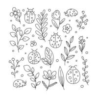 Doodle set of ladybugs and plants. Isolated on white background vector
