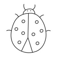 Ladybug , linear, isolated on white background vector