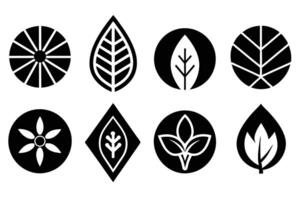 Set of Nine Simple Black and White Leaf and Floral Graphics vector