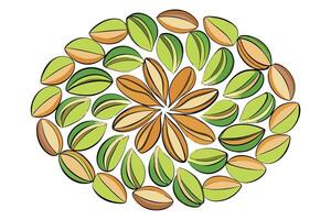Colorful Pistachios Arranged in a Circular Design vector