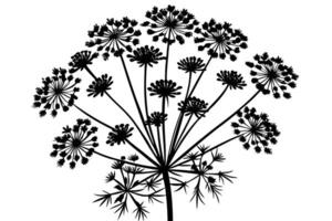 Black Silhouette of a Wildflower Cluster Against a White Background vector