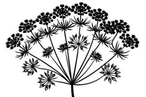 A black Silhouette of a Wildflower Cluster Against a White Background vector