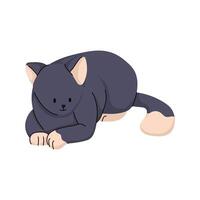 Grey Resting Cat vector