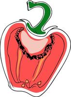hand drawn doodle style halved red bell pepper isolated on white background vector