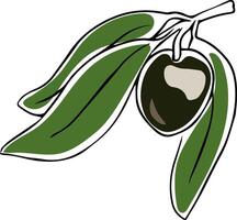 hand drawn doodle of single olive fruit with leaves isolated on white background vector