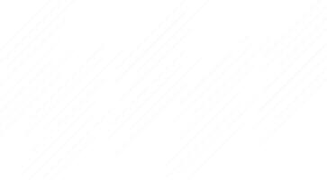 Clean white background subtle lines minimal texture line grey abstract vector
