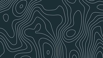 Modern Geometric Topography Pattern for Design vector