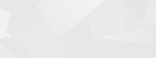 Geometric abstract background with light gray polygonal shapes and subtle texture vector