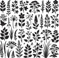 various plants and floral elements vector