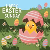 easter card with chicken and eggs vector