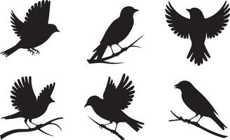 Collection of Sparrow silhouette vector